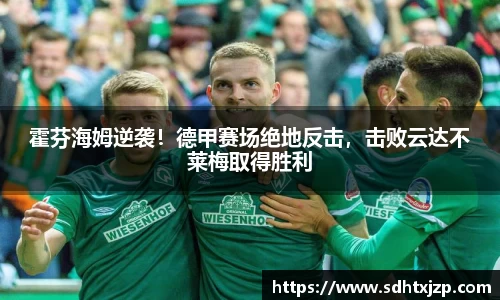 霍芬海姆逆袭！德甲赛场绝地反击，击败云达不莱梅取得胜利