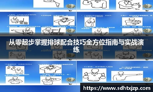 从零起步掌握排球配合技巧全方位指南与实战演练