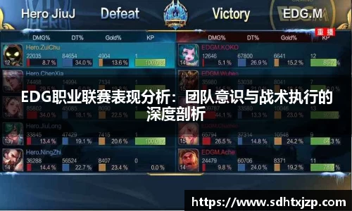 EDG职业联赛表现分析：团队意识与战术执行的深度剖析