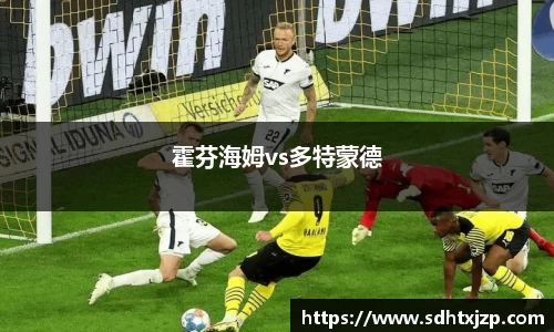 霍芬海姆vs多特蒙德