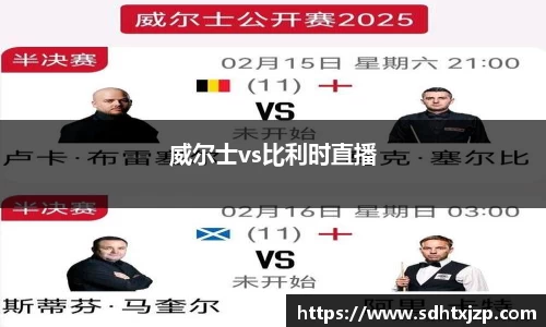 威尔士vs比利时直播