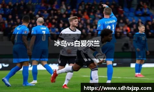 冰岛vs白爱尔兰
