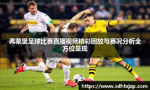 弗莱堡足球比赛直播视频精彩回放与赛况分析全方位呈现