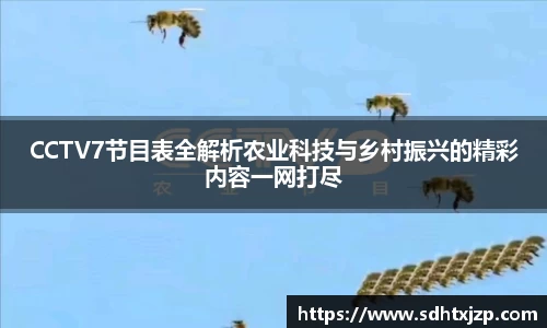 CCTV7节目表全解析农业科技与乡村振兴的精彩内容一网打尽